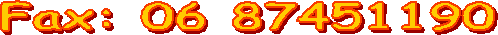 Numero fax: 06 87 45 11 90